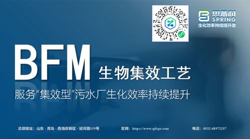 思普潤BFM生物集效工藝 賦能集效型污水廠，驅動生化效率的持續躍升
