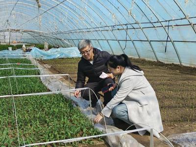 科技增糧助春耕 省農科院生物技術所專家團精準服務肇源縣春季生產
