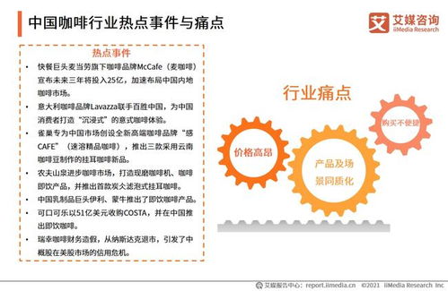 2021年中國咖啡行業發展研究報告 基于旅游開發視角的策劃咨詢分析